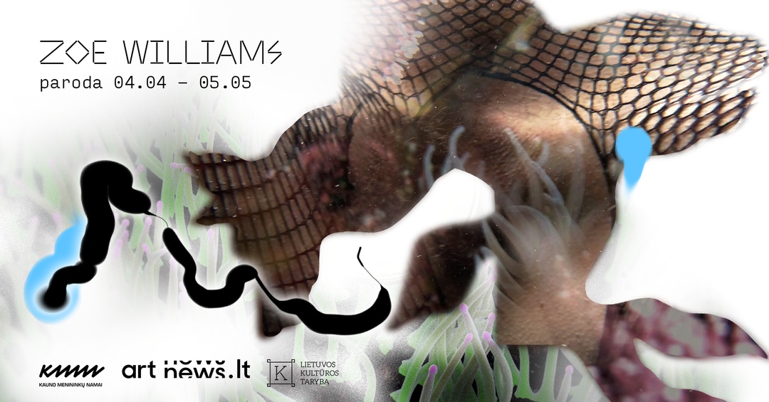 Sapnas pilvu į viršų (šuo ar žuvis?) | Zoe Williams paroda | Kauno menininkų namai